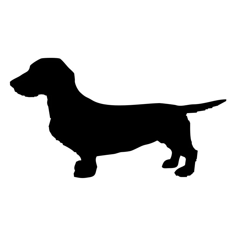 dackel_dachshund