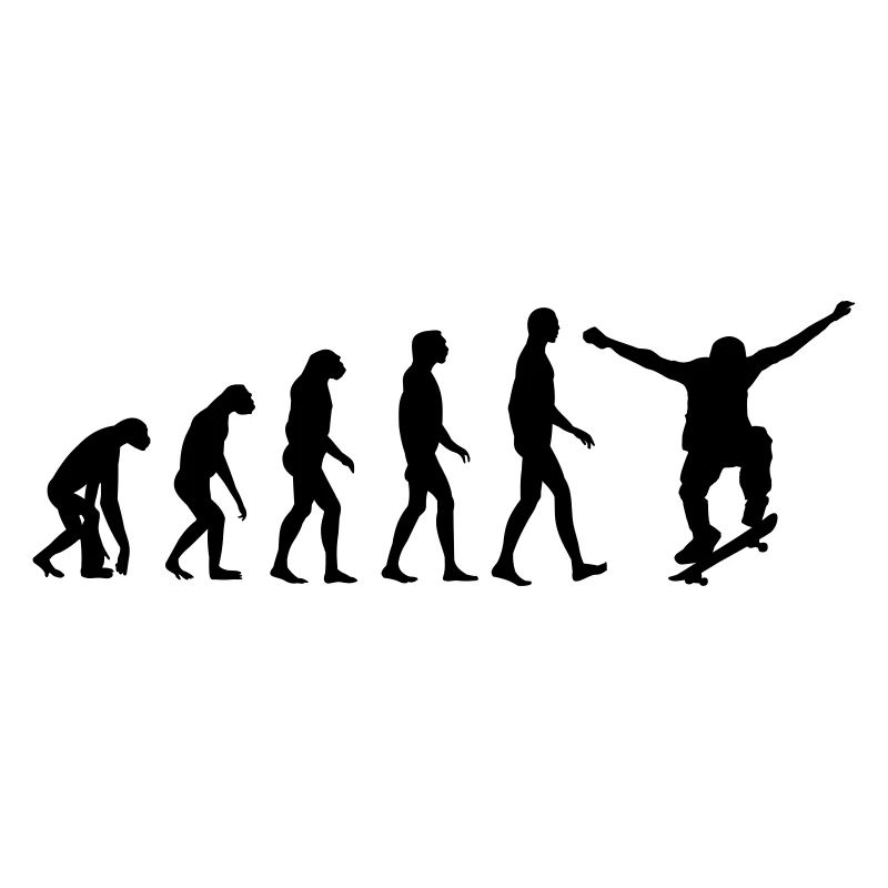 skate evolution