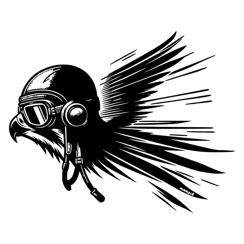Pilot Hawk
