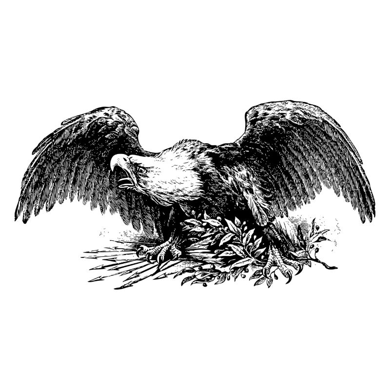 aigle