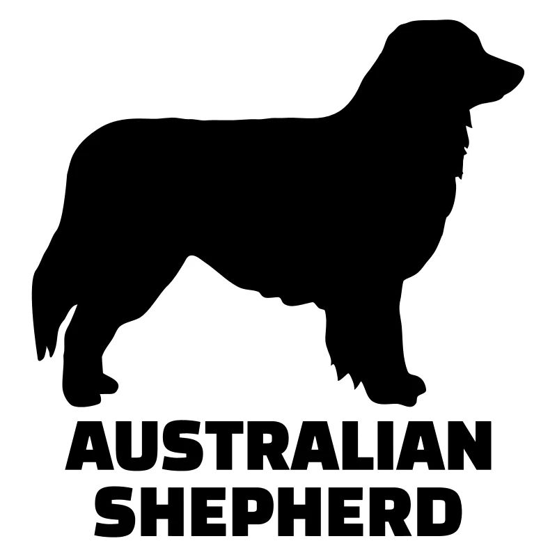 Australian shepherd