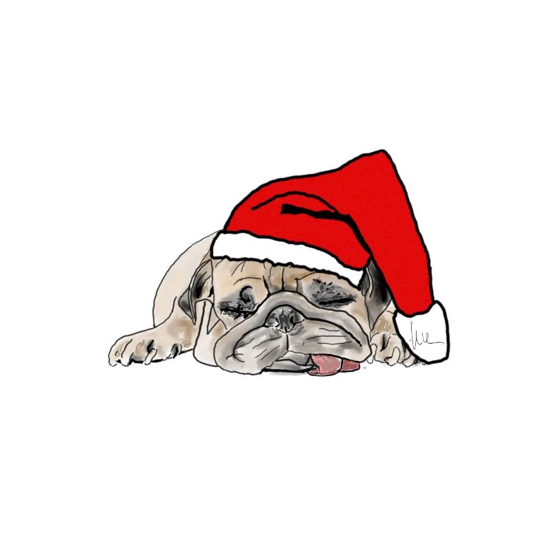 Chien de Noël Carlin de Noël