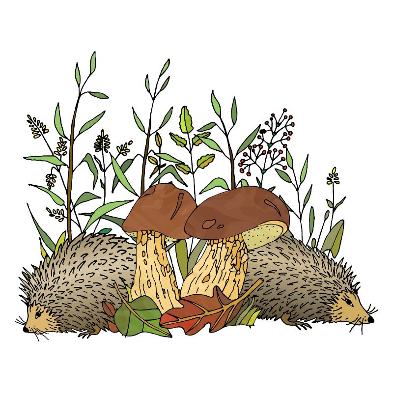 Igel