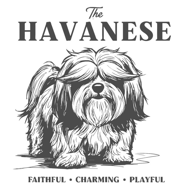Havanese Charme Hundedesign