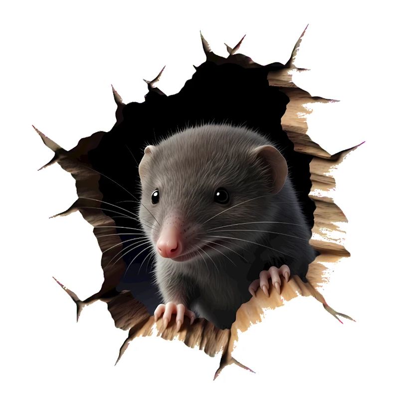 Rat sorti du trou