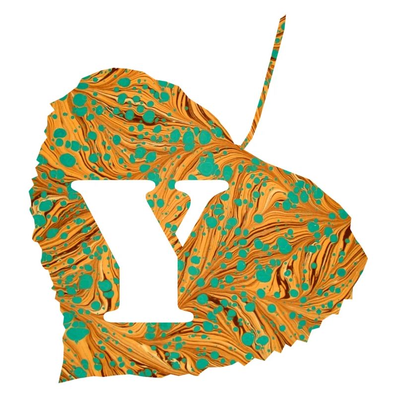 Feuille E 95 Y