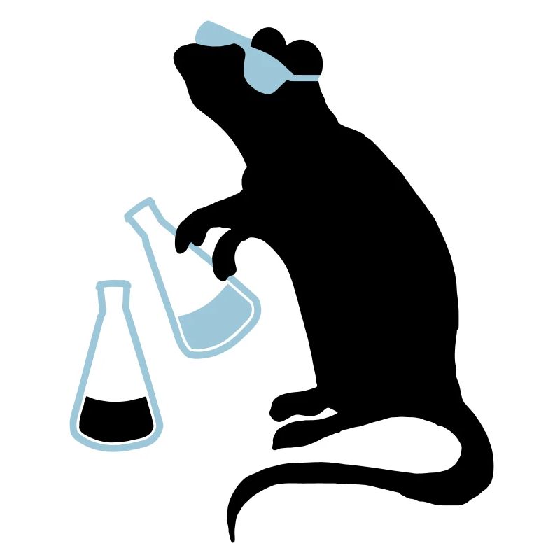 laboratorio ratto