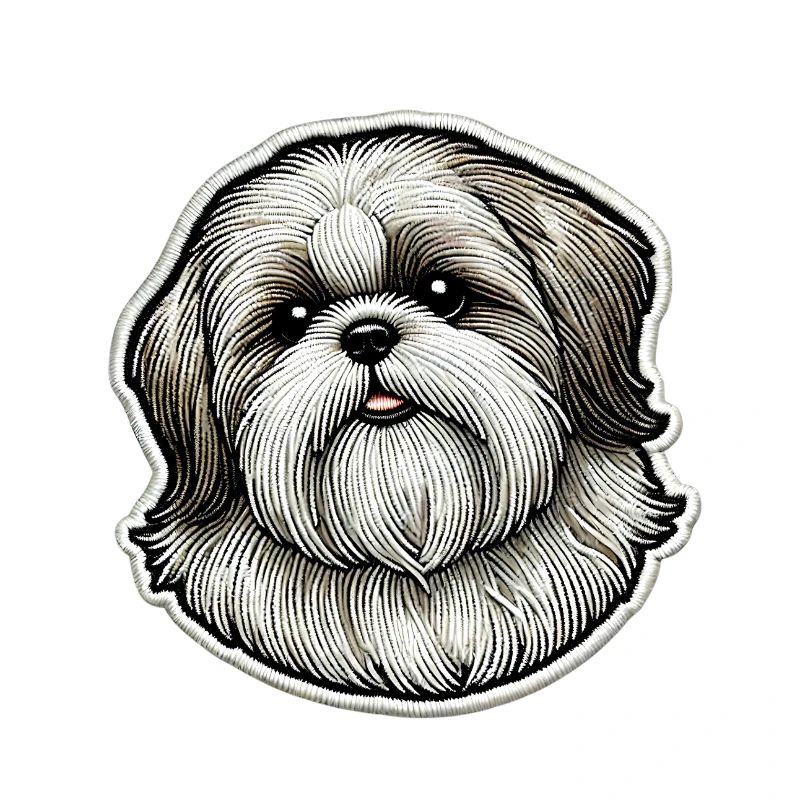 Shih Tzu mignon