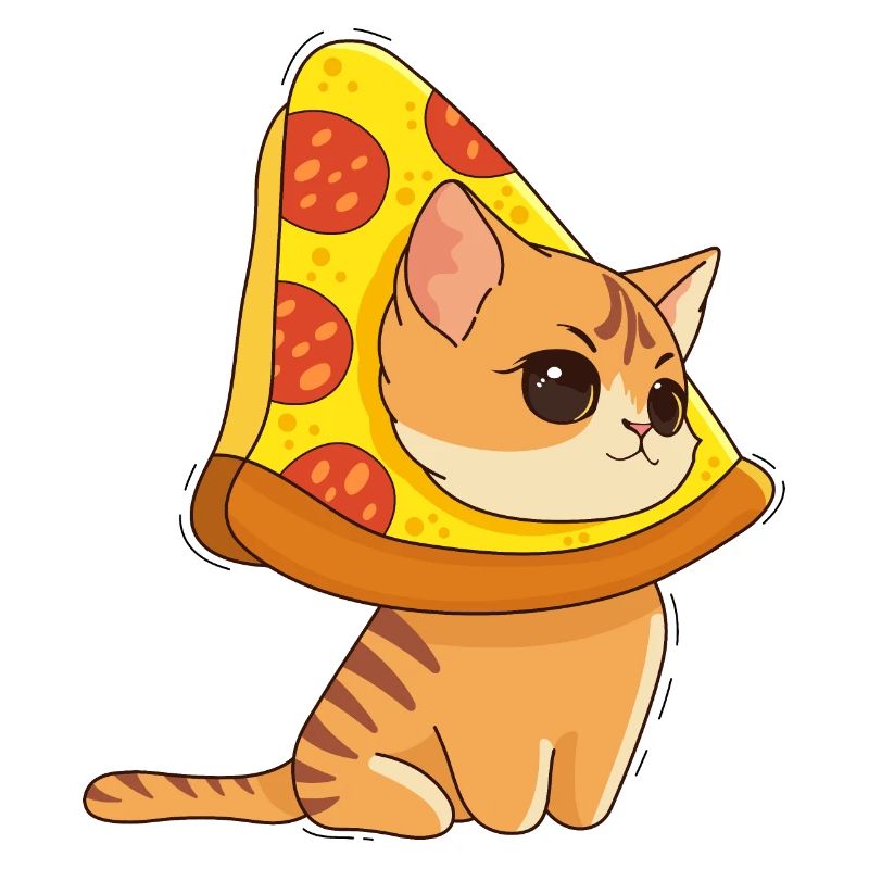 Chat et Pizza