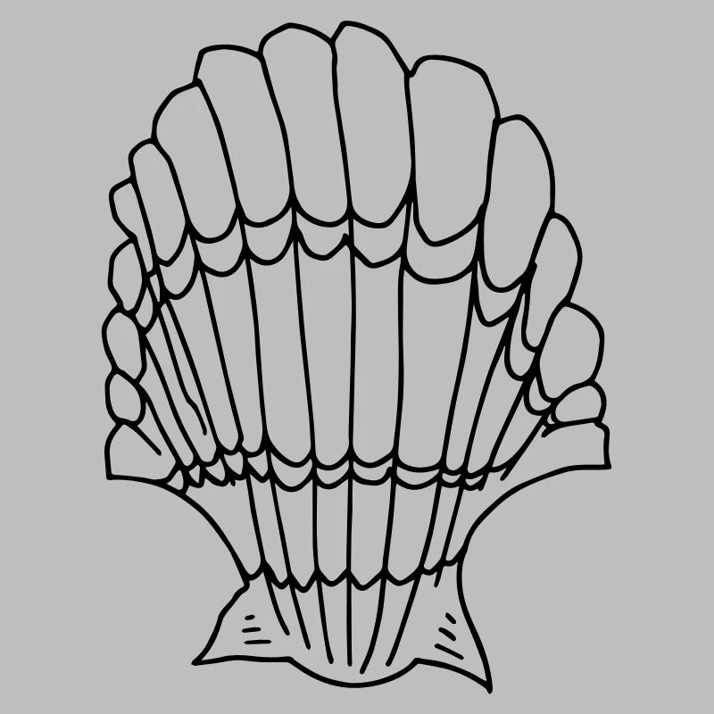 Muschel