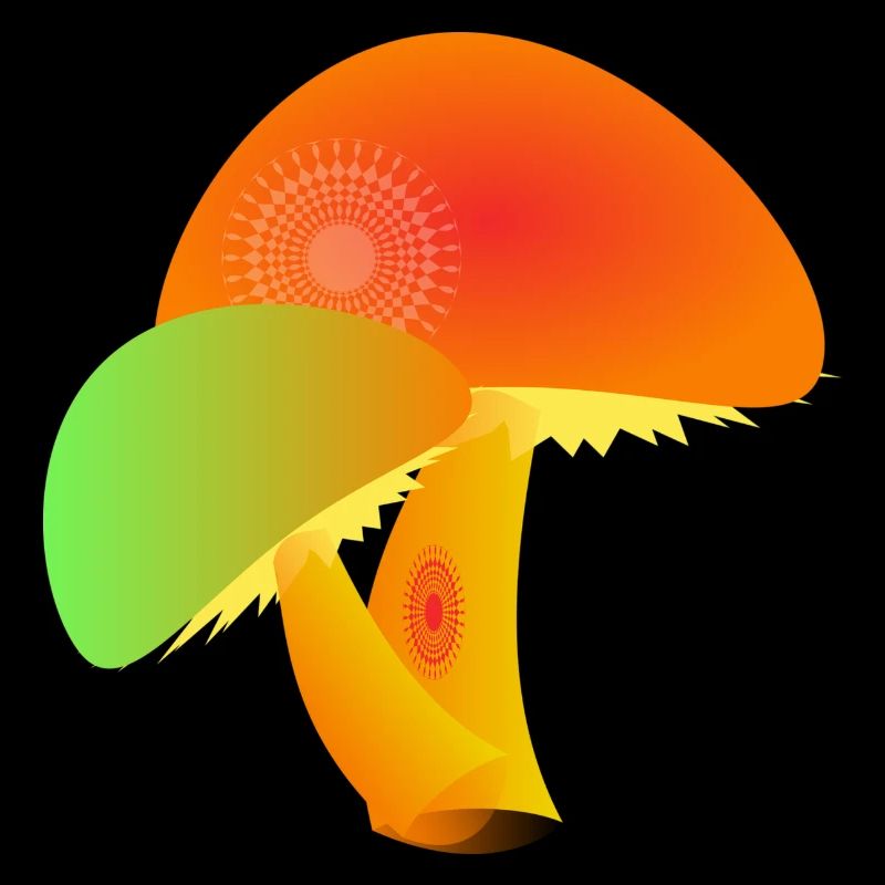 champignons
