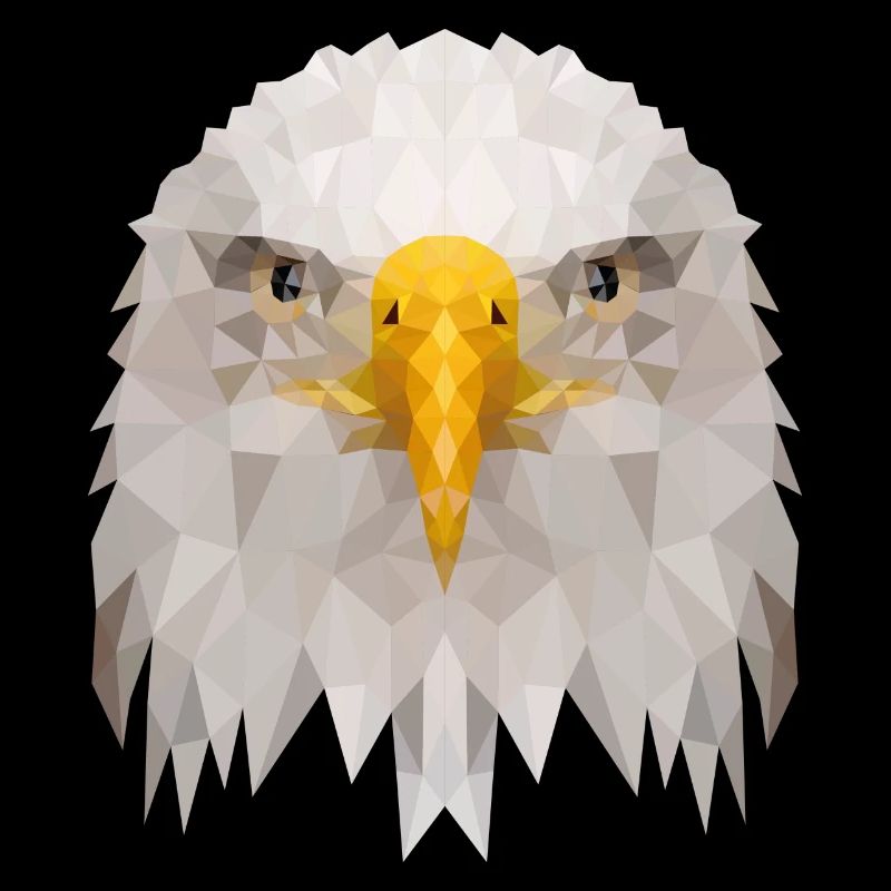 aigle
