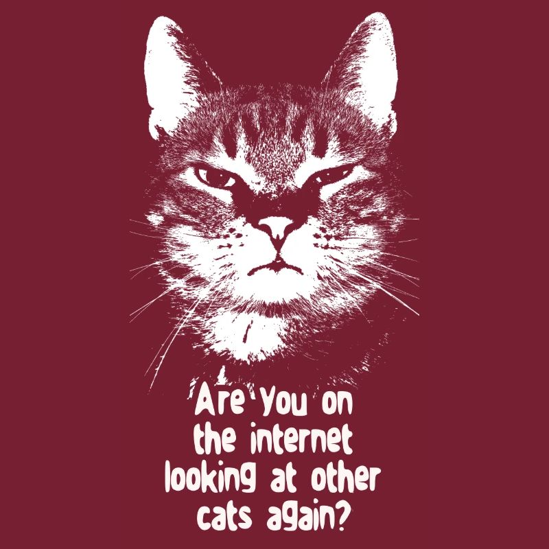 Internet-Katze