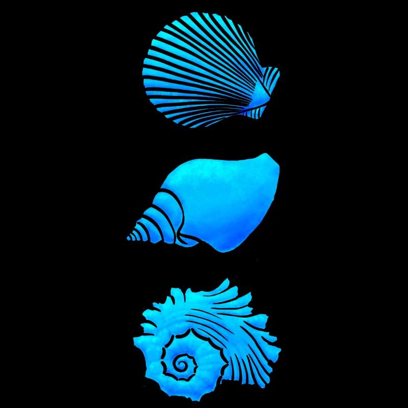 Coquillages