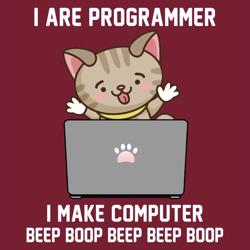 Programmierer