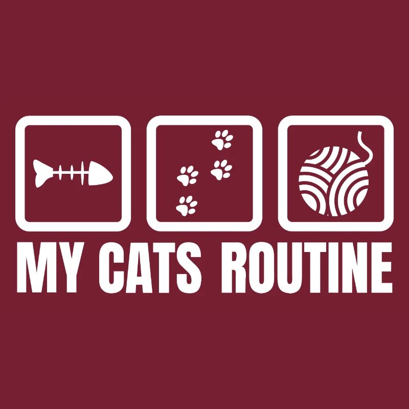 Routine meiner Katze