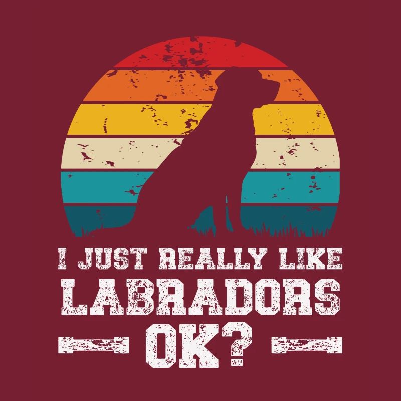 I really like labradors