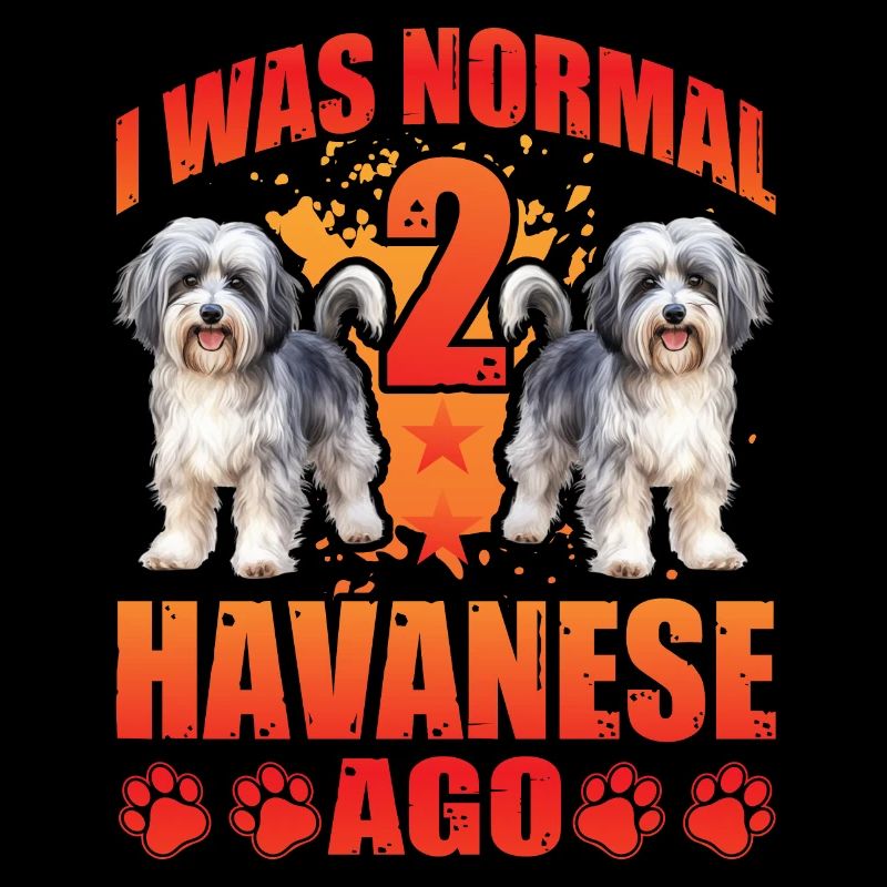 I was normal 2 Havanese ago