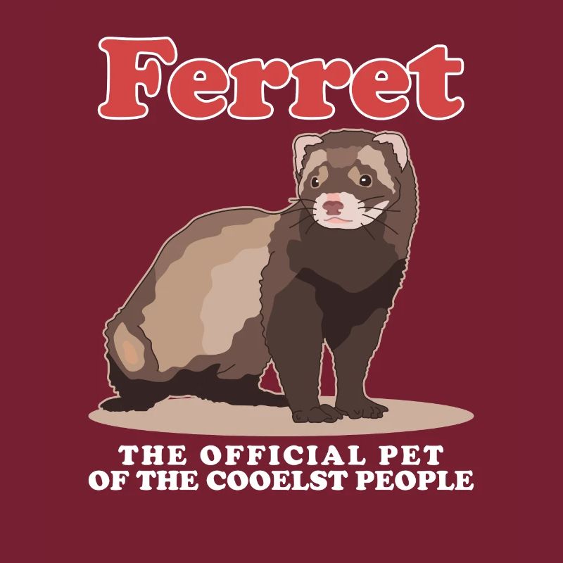 Frettchen Besitzer Ferret Geschenk