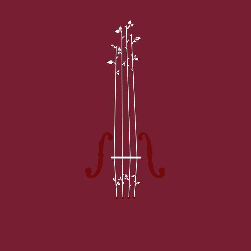 violon Conception
