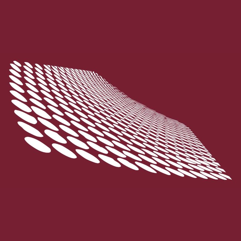 Geometric points on curved horizon surface