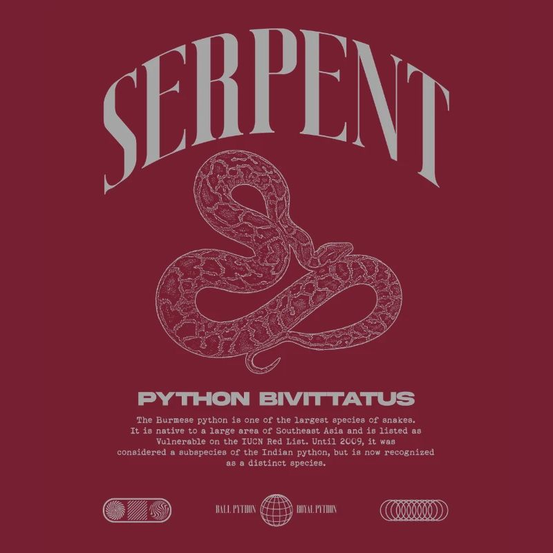 Burmese Python Modern Reptile Keeper Streetwear