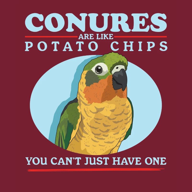 Conures simd comme des perroquets Conure cadeau