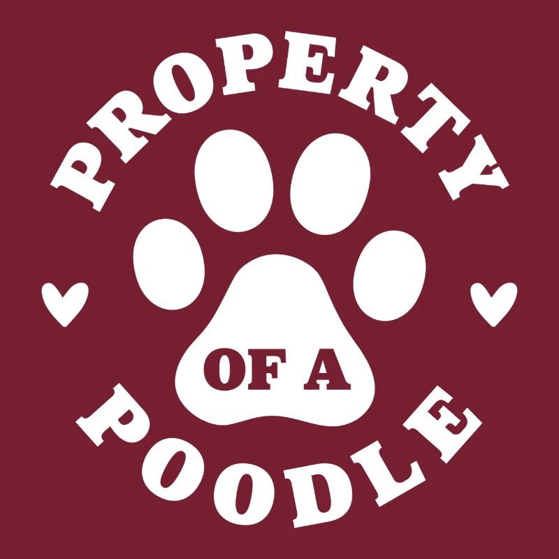 Eigentum eines Pudels