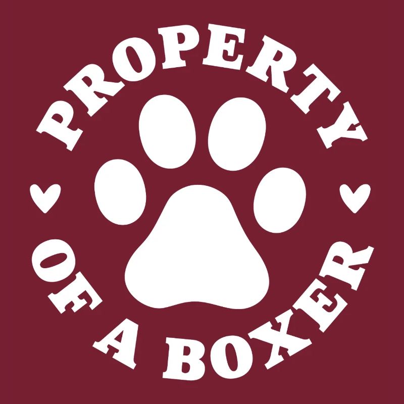 Eigentum eines Boxers