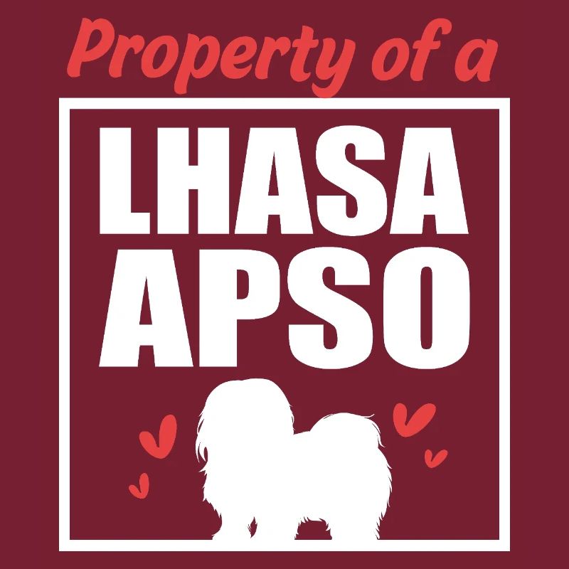 Lhasa Apso Dog