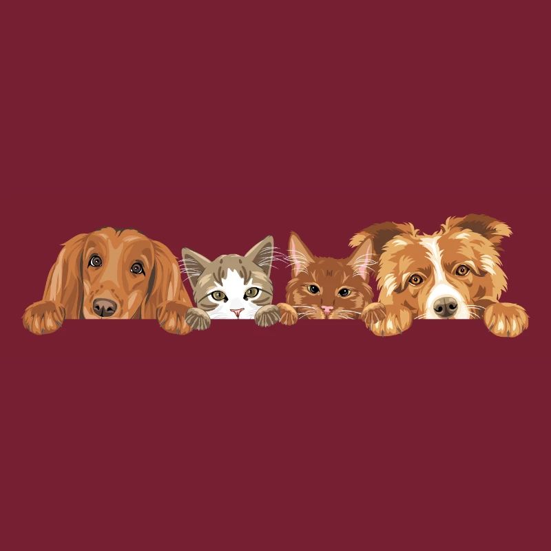 Jeter un coup d’œil à deux chats mignons et deux chiens