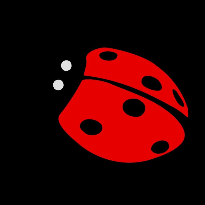 Coccinelle