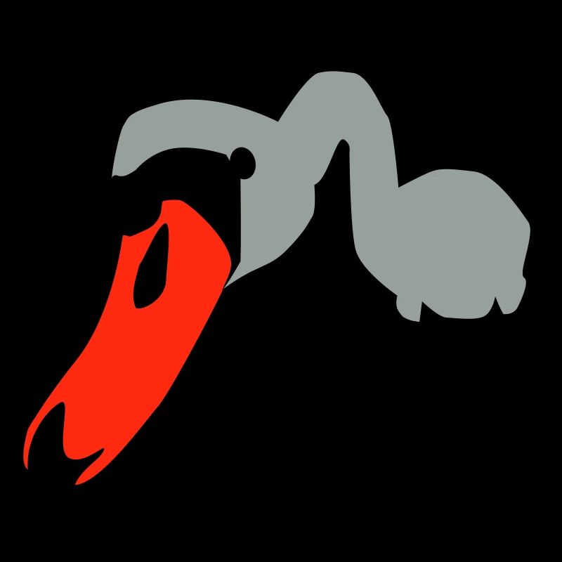 SWAN SCHWAN