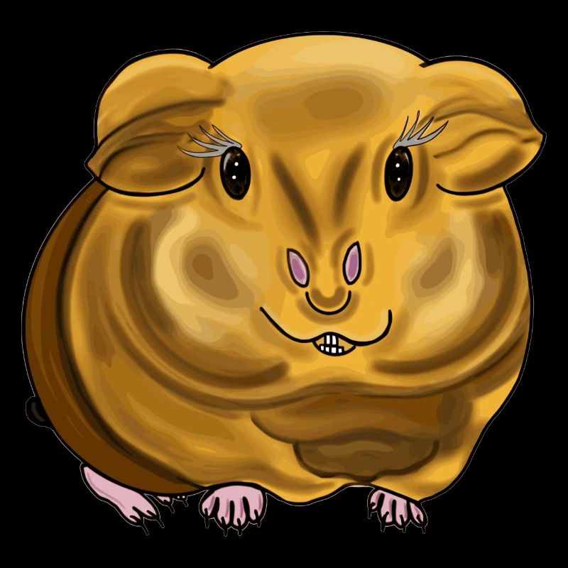 Beau cochon d’Inde aux motifs rayonnants.