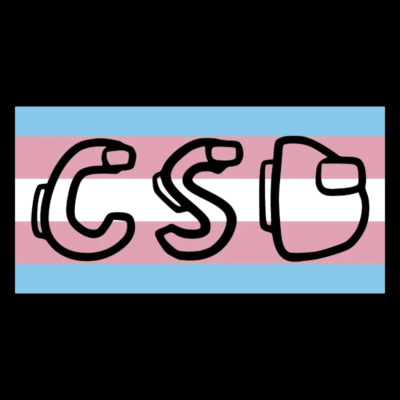 trans pride flag csd