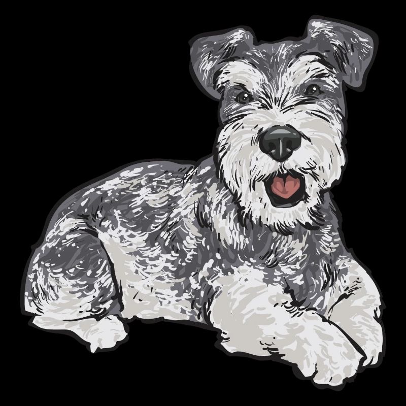 Zwergschnauzer Hund Schnauzer