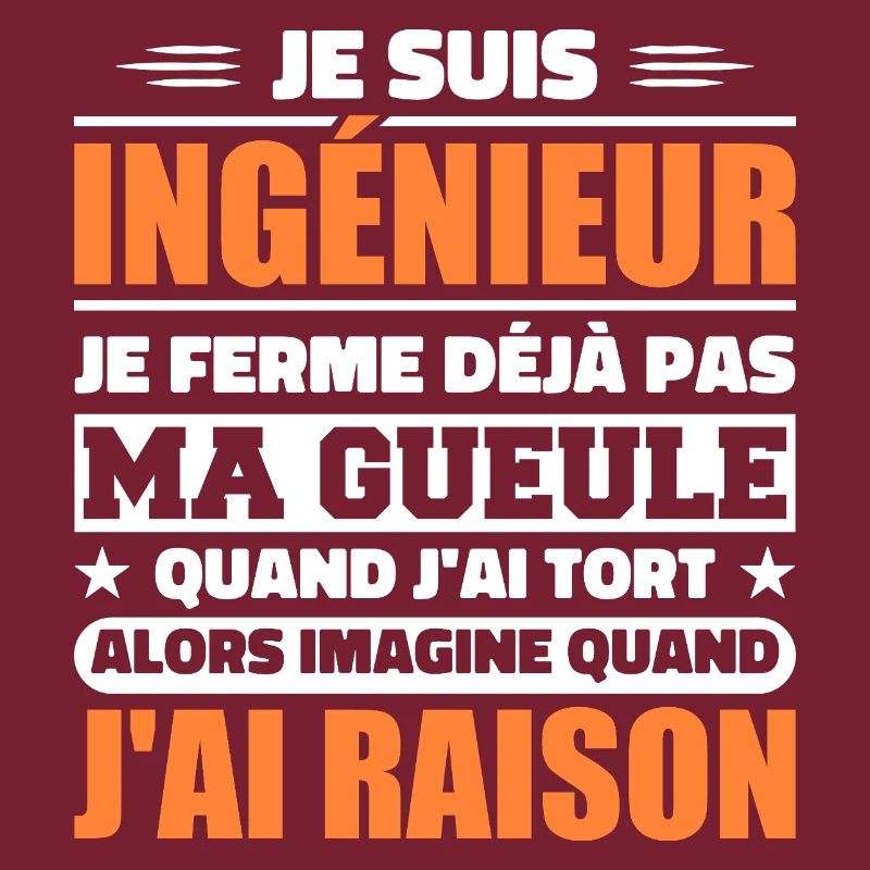 Engineer Humor Gift Student Engineer