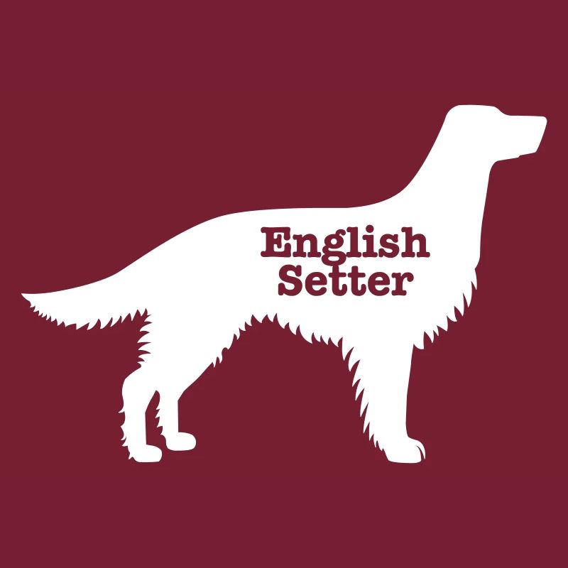 Englisch Setter