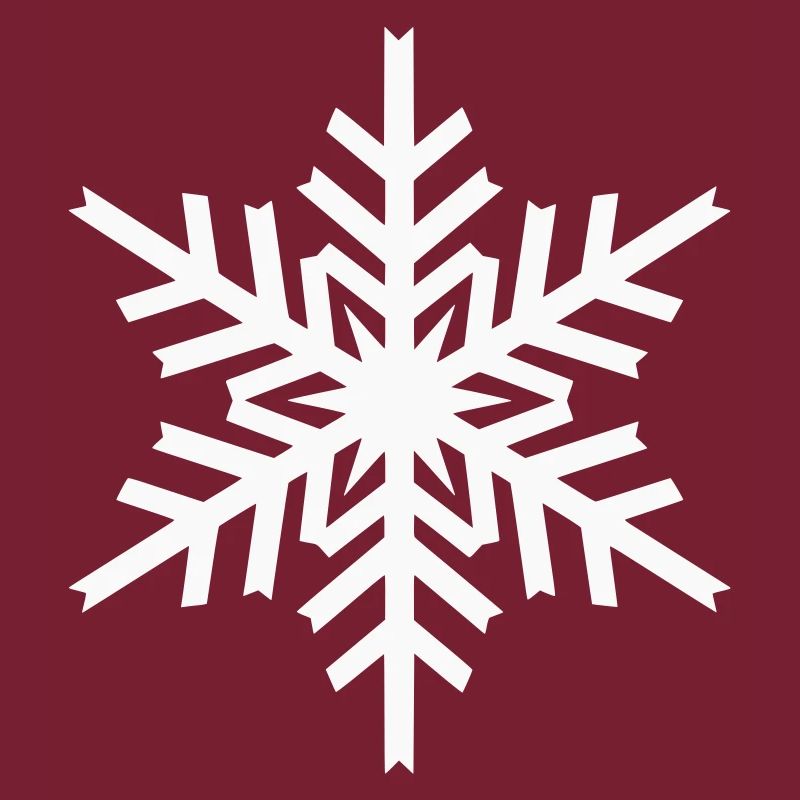Geometric Snowflake