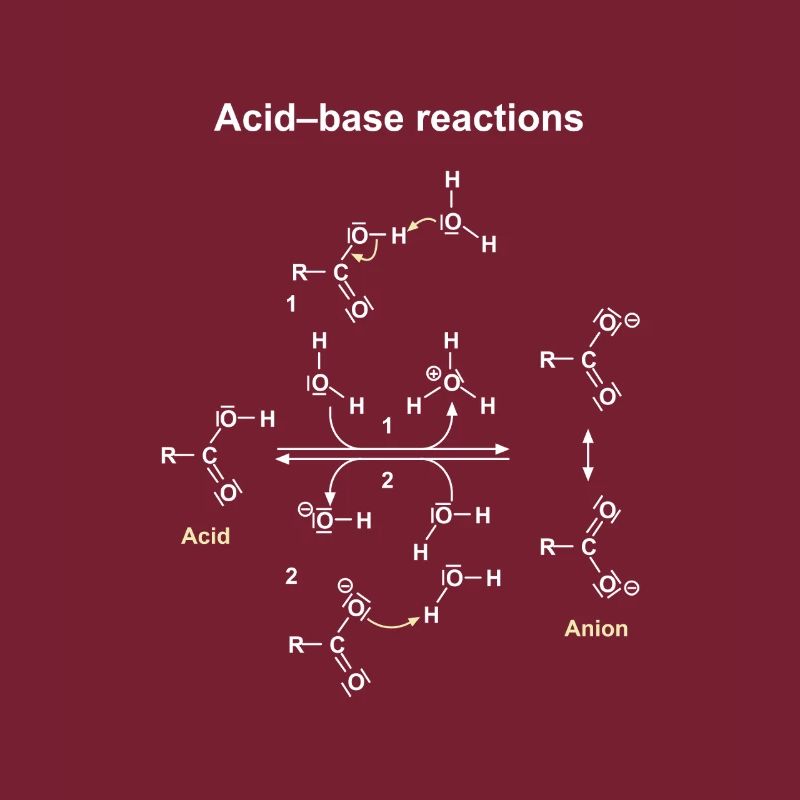 Réactions Acide Base Illustrées