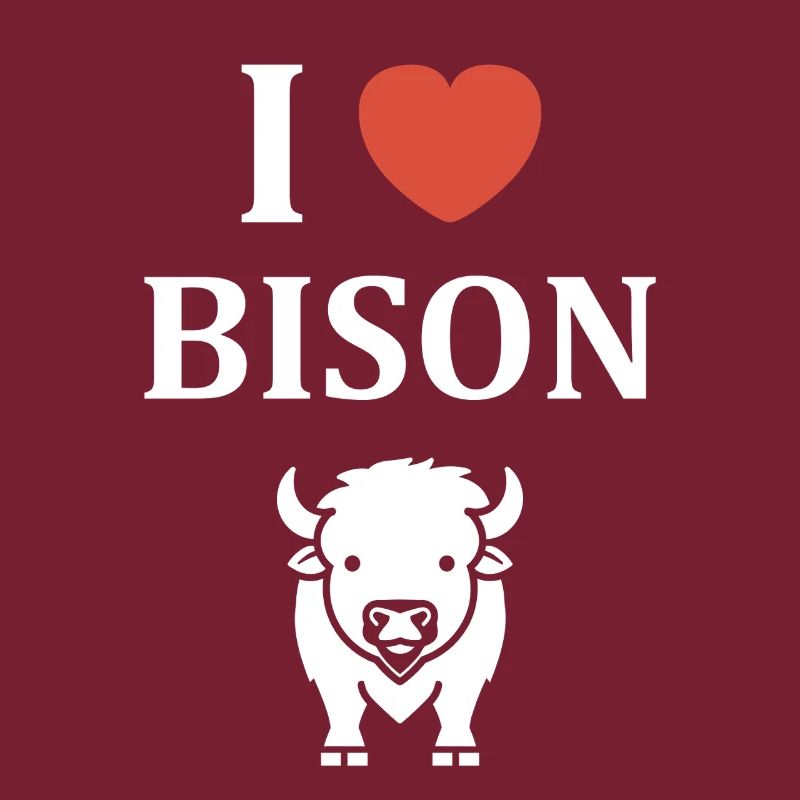 Bison