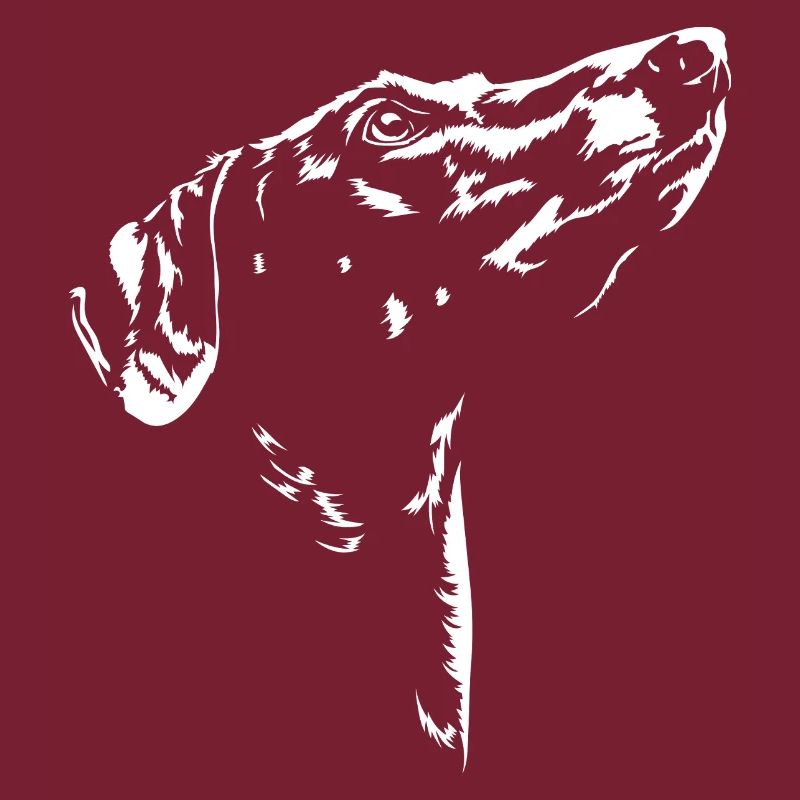 Azawakh Silhouette Windhunde Windhund Wilsigns
