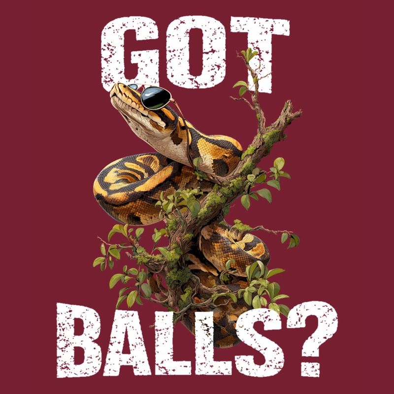 Python roi Serpents Amateurs de terrarium Python