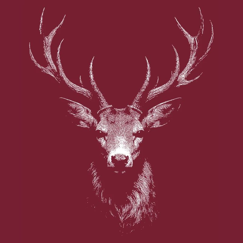 roe deer