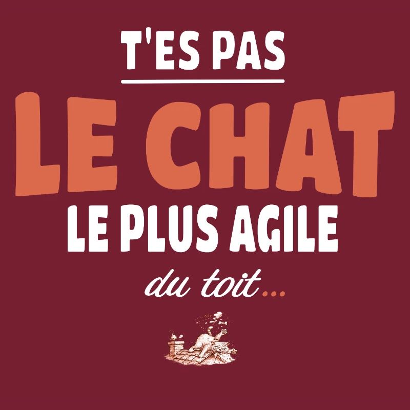 T’es pas le chat le plus agile du toit – Vanne