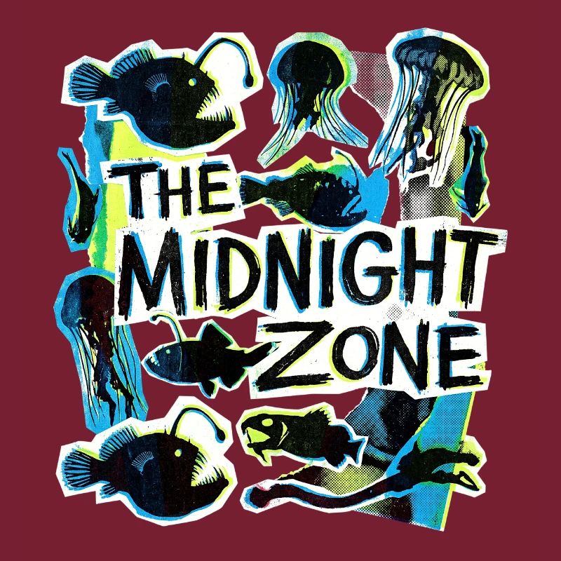 The Midnight Plastic Zone