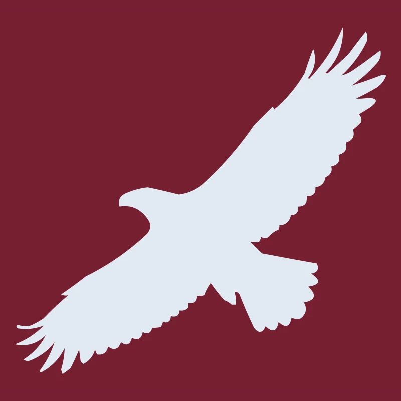 Aigle