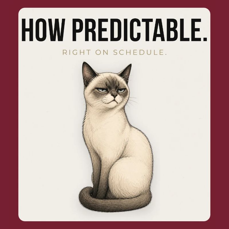 HOW PREDICTABLE Sarcastic Cat Design