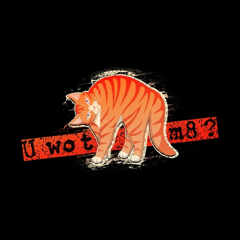 U wot m8 - Chat Orange