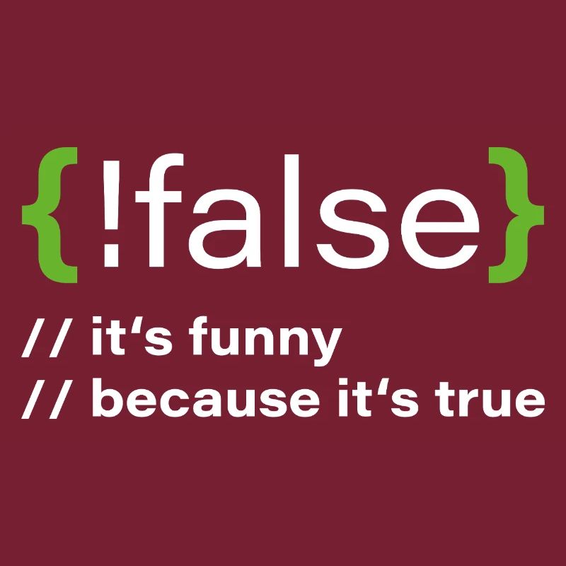 false – Lustiger Programmierer Spruch